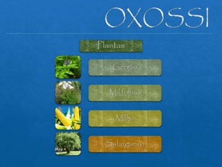 Plantas
Gervão
Mil folhas
Milho
Sabugueiro
 