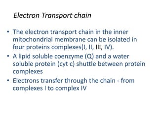 Electron Transport chain
• The electron transport chain in the inner
mitochondrial membrane can be isolated in
four proteins complexes(I, II, III, IV).
• A lipid soluble coenzyme (Q) and a water
soluble protein (cyt c) shuttle between protein
complexes
• Electrons transfer through the chain - from
complexes I to complex IV
 
