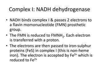 Complex I: NADH dehydrogenase
• NADH binds complex I & passes 2 electrons to
a flavin momonucleotide (FMN) prosthetic
group.
• The FMN is reduced to FMNH2. Each electron
is transferred with a proton.
• The electrons are then passed to iron-sulphur
proteins (FeS) in complex I (this is non-heme
iron). The electron is accepted by Fe3+ which is
reduced to Fe2+
 