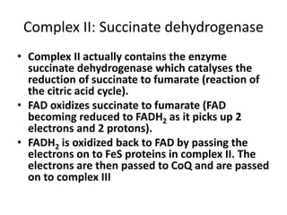 Complex II: Succinate dehydrogenase
• Complex II actually contains the enzyme
succinate dehydrogenase which catalyses the
reduction of succinate to fumarate (reaction of
the citric acid cycle).
• FAD oxidizes succinate to fumarate (FAD
becoming reduced to FADH2 as it picks up 2
electrons and 2 protons).
• FADH2 is oxidized back to FAD by passing the
electrons on to FeS proteins in complex II. The
electrons are then passed to CoQ and are passed
on to complex III
 