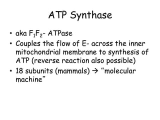 ATP Synthase
• aka F1F2- ATPase
• Couples the flow of E- across the inner
mitochondrial membrane to synthesis of
ATP (reverse reaction also possible)
• 18 subunits (mammals)  “molecular
machine”
 