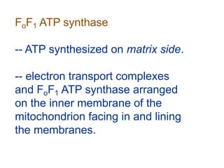 FoF1 ATP synthase
-- ATP synthesized on matrix side.
-- electron transport complexes
and FoF1 ATP synthase arranged
on the inner membrane of the
mitochondrion facing in and lining
the membranes.
 