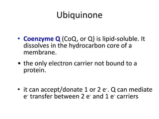 Ubiquinone
• Coenzyme Q (CoQ, or Q) is lipid-soluble. It
dissolves in the hydrocarbon core of a
membrane.
• the only electron carrier not bound to a
protein.
• it can accept/donate 1 or 2 e-. Q can mediate
e- transfer between 2 e- and 1 e- carriers
 