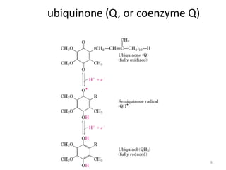8
ubiquinone (Q, or coenzyme Q)
 