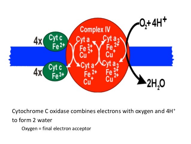 Oxphos