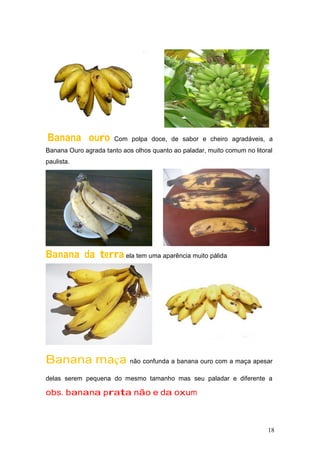 ,
Banana ouro Com polpa doce, de sabor e cheiro agradáveis, a
Banana Ouro agrada tanto aos olhos quanto ao paladar, muito comum no litoral
paulista.
Banana da terra ela tem uma aparência muito pálida
Banana maça não confunda a banana ouro com a maça apesar
delas serem pequena do mesmo tamanho mas seu paladar e diferente a
obs. banana prata não e da oxum
18
 