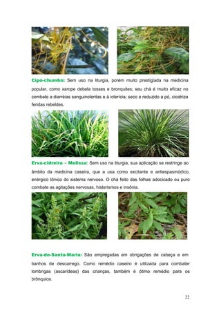 Cipó-chumbo: Sem uso na liturgia, porém muito prestigiada na medicina
popular, como xarope debela tosses e bronquites; seu chá é muito eficaz no
combate a diarréias sanguinolentas e à icterícia; seco e reduzido a pó, cicatriza
feridas rebeldes.
Erva-cidreira – Melissa: Sem uso na liturgia, sua aplicação se restringe ao
âmbito da medicina caseira, que a usa como excitante e antiespasmódico,
enérgico tônico do sistema nervoso. O chá feito das folhas adocicado ou puro
combate as agitações nervosas, histerismos e insônia.
Erva-de-Santa-Maria: São empregadas em obrigações de cabeça e em
banhos de descarrego. Como remédio caseiro é utilizada para combater
lombrigas (ascarídeas) das crianças, também é ótimo remédio para os
brônquios.
22
 