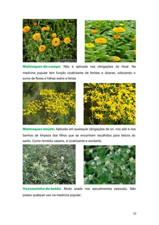 Malmequer-do-campo: Não é aplicada nas obrigações do ritual. Na
medicina popular tem função cicatrizante de feridas e úlceras, colocando o
sumo de flores e folhas sobre a ferida
Malmequer-miúdo: Aplicado em quaisquer obrigações de ori, nos abô e nos
banhos de limpeza dos filhos que se encontram recolhidos para feitura do
santo. Como remédio caseiro, é cicatrizante e excitante.
Vassourinha-de-botão: Muito usado nos sacudimentos pessoais. Não
possui qualquer uso na medicina popular.
25
 