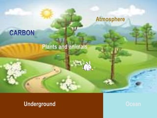 Atmosphere
OceanUnderground
Soil
Plants and animals
 