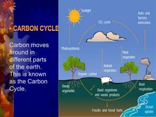 Carbon moves
around in
different parts
of the earth.
This is known
as the Carbon
Cycle.
 