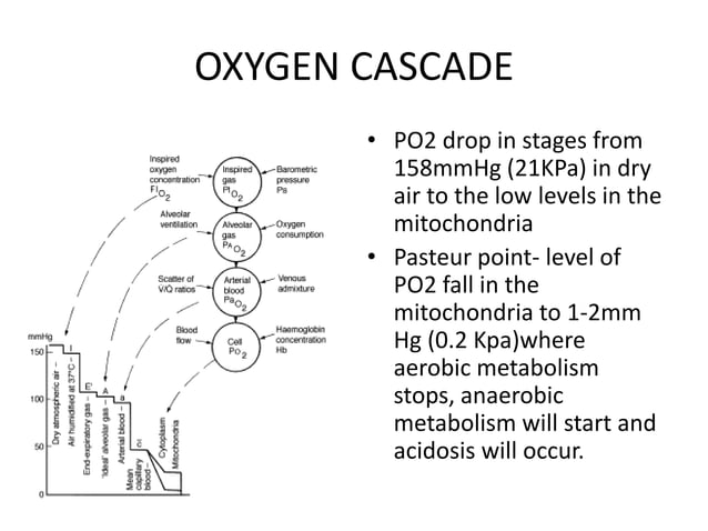 oxygen and associated gases (1).pptx