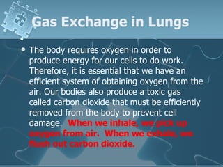 Gas Exchange in Lungs   The body requires oxygen in order to produce energy for our cells to do work. Therefore, it is essential that we have an efficient system of obtaining oxygen from the air. Our bodies also produce a toxic gas called carbon dioxide that must be efficiently removed from the body to prevent cell damage.   When we inhale, we pick up oxygen from air.  When we exhale, we flush out carbon dioxide.  