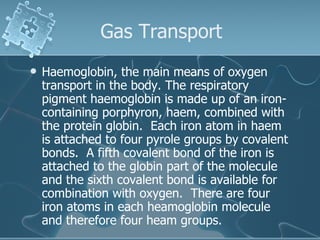 Gas Transport Haemoglobin, the main means of oxygen transport in the body. The respiratory pigment haemoglobin is made up of an iron-containing porphyron, haem, combined with the protein globin.  Each iron atom in haem is attached to four pyrole groups by covalent bonds.  A fifth covalent bond of the iron is attached to the globin part of the molecule and the sixth covalent bond is available for combination with oxygen.  There are four iron atoms in each heamoglobin molecule and therefore four heam groups.  