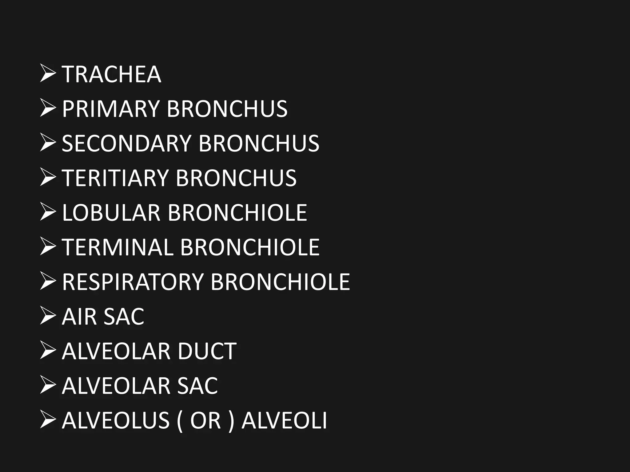 TRACHEA
PRIMARY BRONCHUS
SECONDARY BRONCHUS
TERITIARY BRONCHUS
LOBULAR BRONCHIOLE
TERMINAL BRONCHIOLE
RESPIRATORY BRONCHIOLE
AIR SAC
ALVEOLAR DUCT
ALVEOLAR SAC
ALVEOLUS ( OR ) ALVEOLI
 