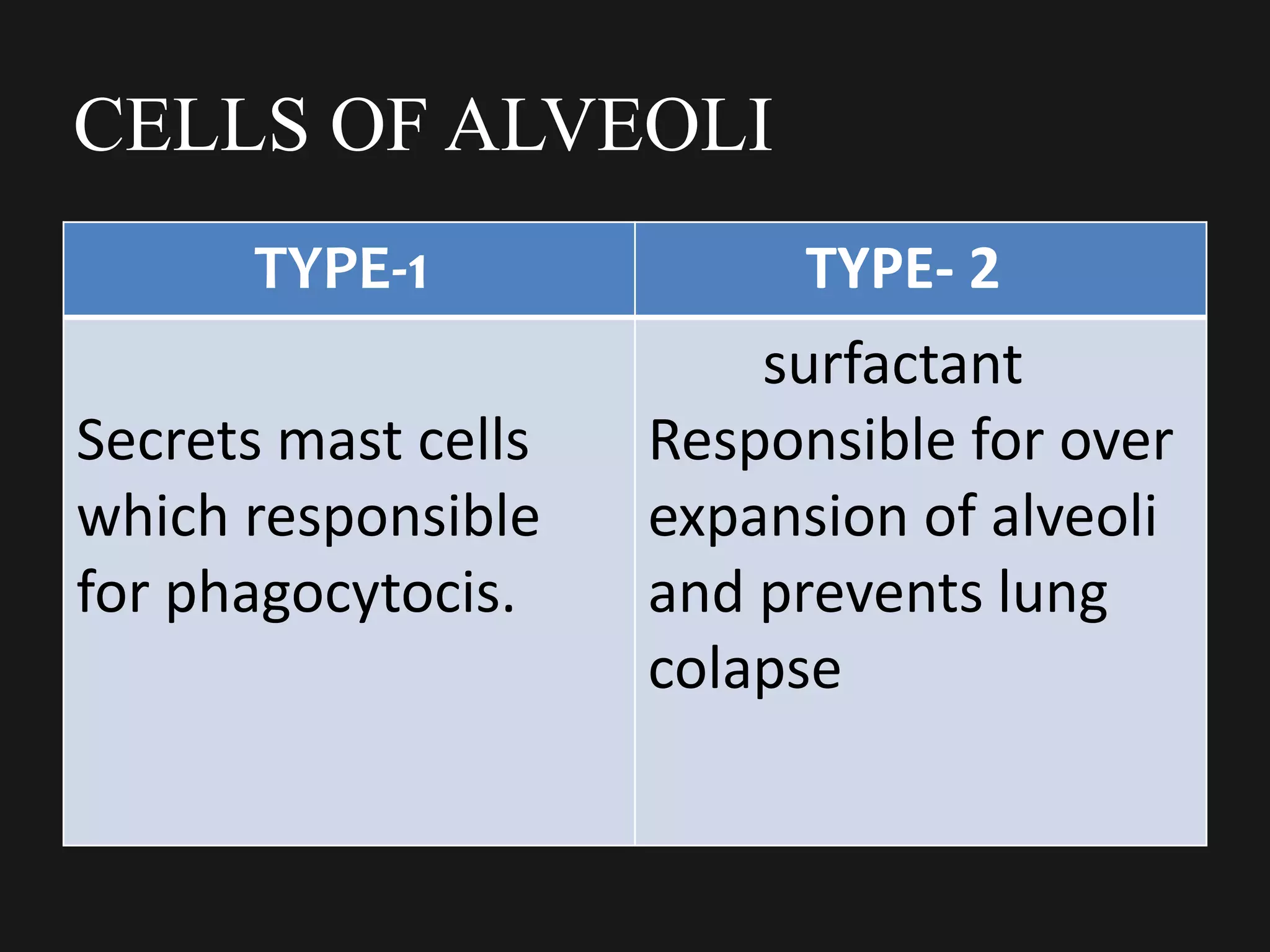CELLS OF ALVEOLI
TYPE-1 TYPE- 2
Secrets mast cells
which responsible
for phagocytocis.
surfactant
Responsible for over
expansion of alveoli
and prevents lung
colapse
 