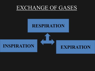 EXCHANGE OF GASES
RESPIRATION
INSPIRATION EXPIRATION
 