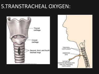 Oxygenation | PPT