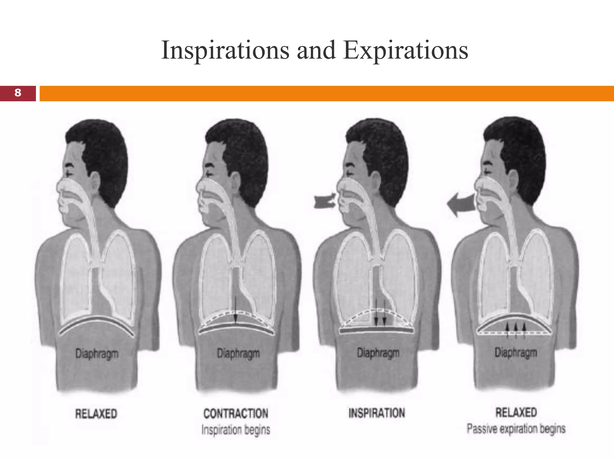 Inspirations and Expirations
8
 