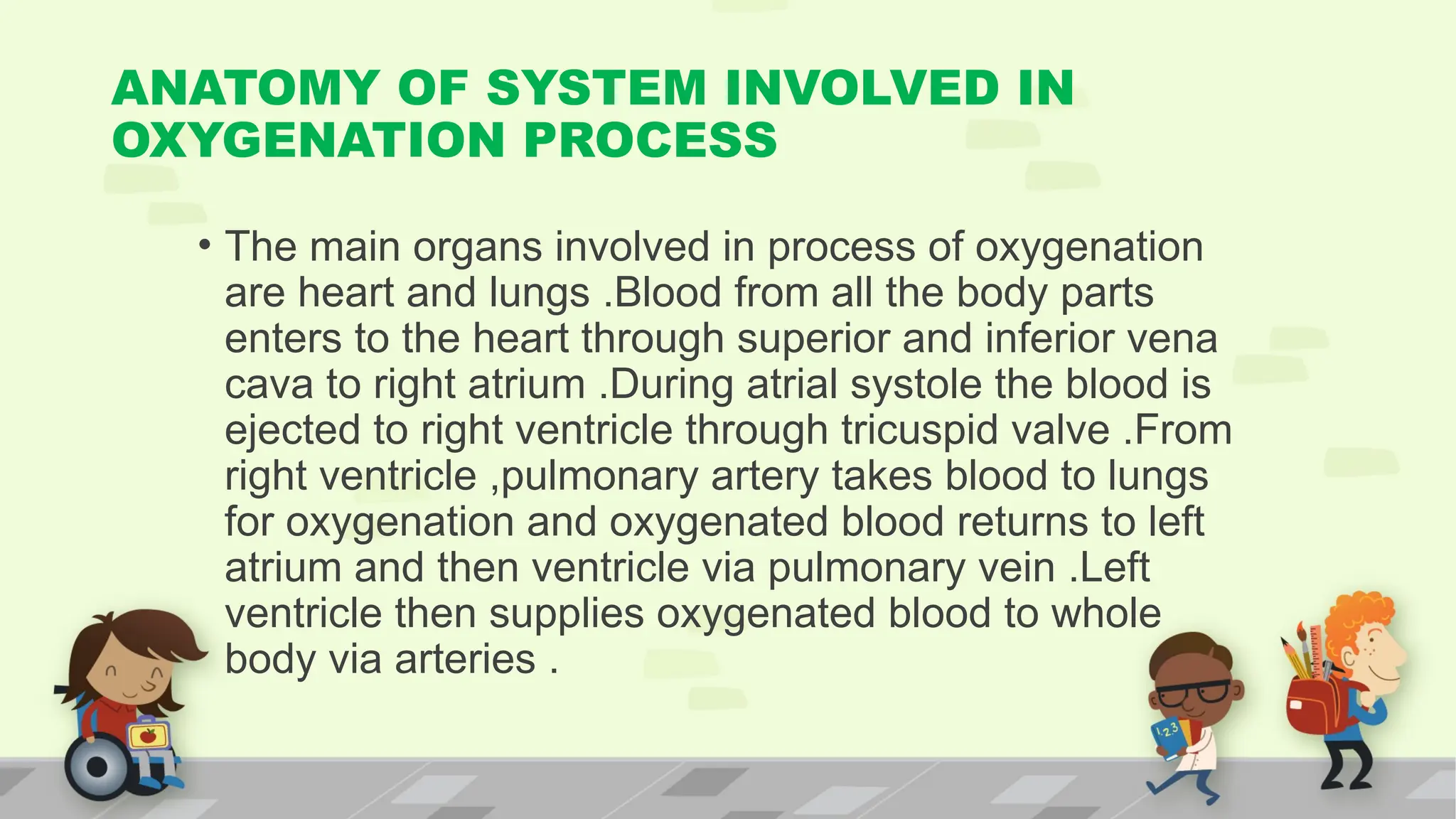 ANATOMY OF SYSTEM INVOLVED IN
OXYGENATION PROCESS
• The main organs involved in process of oxygenation
are heart and lungs .Blood from all the body parts
enters to the heart through superior and inferior vena
cava to right atrium .During atrial systole the blood is
ejected to right ventricle through tricuspid valve .From
right ventricle ,pulmonary artery takes blood to lungs
for oxygenation and oxygenated blood returns to left
atrium and then ventricle via pulmonary vein .Left
ventricle then supplies oxygenated blood to whole
body via arteries .
 