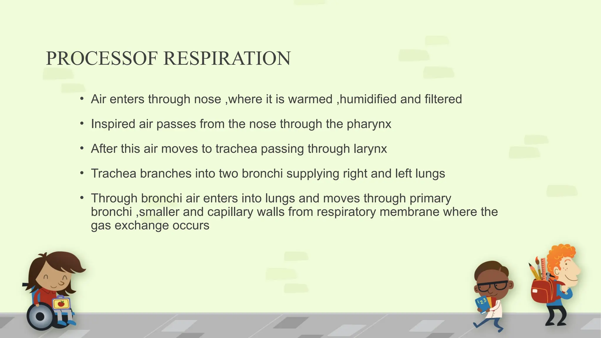 PROCESSOF RESPIRATION
• Air enters through nose ,where it is warmed ,humidified and filtered
• Inspired air passes from the nose through the pharynx
• After this air moves to trachea passing through larynx
• Trachea branches into two bronchi supplying right and left lungs
• Through bronchi air enters into lungs and moves through primary
bronchi ,smaller and capillary walls from respiratory membrane where the
gas exchange occurs
 