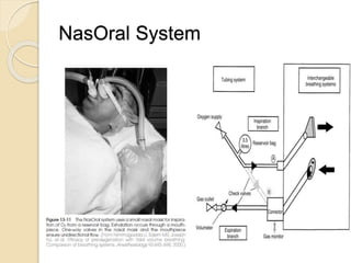NasOral System
 