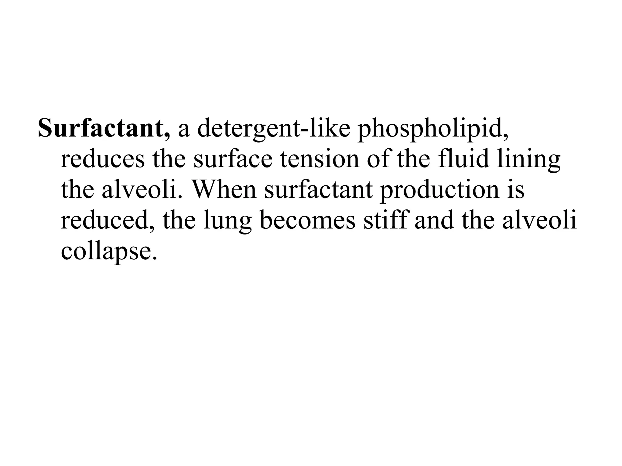 Surfactant, a detergent-like phospholipid,
reduces the surface tension of the fluid lining
the alveoli. When surfactant production is
reduced, the lung becomes stiff and the alveoli
collapse.
 