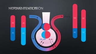 100
4045
40
60
40
50
80
 