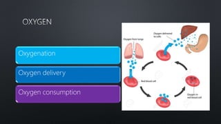 Oxygenation
Oxygen delivery
Oxygen consumption
 