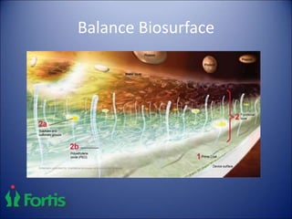 Balance Biosurface
 