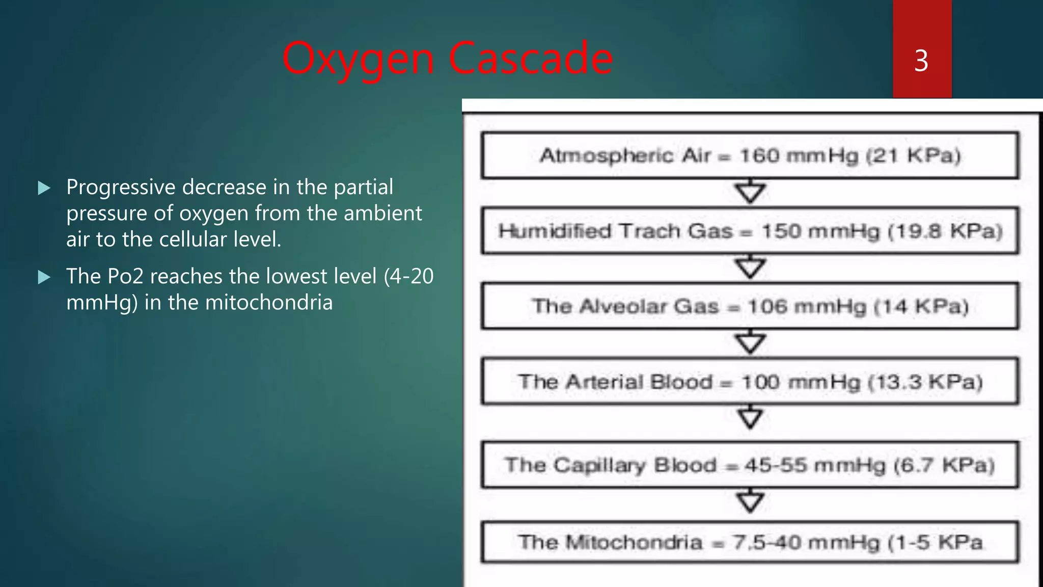 Oxygen cascade | PPTX