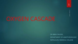 Oxygen cascade | PPTX