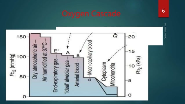 Oxygen cascade | PPTX