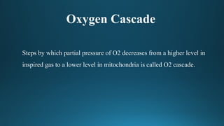Comprehensive Overview of the Oxygen Cascade in Human Physiology | PPTX
