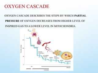 Comprehensive Overview of Oxygen Cascade and Transport Mechanisms in ...