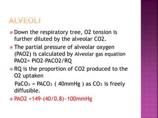 Down the respiratory tree, O2 tension is
further diluted by the alveolar CO2.
 The partial pressure of alveolar oxygen
(PAO2) is calculated by Alveolar gas equation
PAO2= PiO2-PACO2/RQ
 RQ is the proportion of CO2 produced to the
O2 uptaken
PaCO₂ = PACO₂ ( 40mmHg ) as CO₂ is freely
diffusible.
 PAO2 =149-(40/0.8)~100mmHg
 