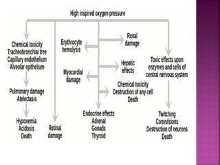 Oxygen cascade & therapy