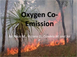 Oxygen Co-
Emission
By: Rocío M., Victoria D., Candela M. and Sol
P.
 