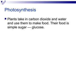 Photosynthesis
 Plants take in carbon dioxide and water
and use them to make food. Their food is
simple sugar — glucose.
 