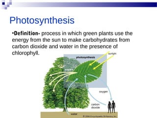 Photosynthesis
•Definition- process in which green plants use the
energy from the sun to make carbohydrates from
carbon dioxide and water in the presence of
chlorophyll.
 
