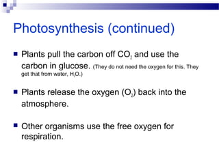Photosynthesis (continued)
 Plants pull the carbon off CO2 and use the
carbon in glucose. (They do not need the oxygen for this. They
get that from water, H2O.)
 Plants release the oxygen (O2) back into the
atmosphere.
 Other organisms use the free oxygen for
respiration.
 