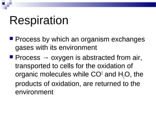 Respiration
 Process by which an organism exchanges
gases with its environment
 Process → oxygen is abstracted from air,
transported to cells for the oxidation of
organic molecules while CO2
and H2O, the
products of oxidation, are returned to the
environment
 