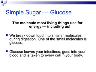 Simple Sugar — Glucose
The molecule most living things use for
energy — including us!
 We break down food into smaller molecules
during digestion. One of the small molecules is
glucose.
 Glucose leaves your intestines, goes into your
blood and is taken to every cell in your body.
 
