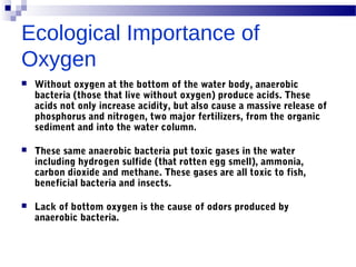 Ecological Importance of
Oxygen
 Without oxygen at the bottom of the water body, anaerobic
bacteria (those that live without oxygen) produce acids. These
acids not only increase acidity, but also cause a massive release of
phosphorus and nitrogen, two major fertilizers, from the organic
sediment and into the water column.
 These same anaerobic bacteria put toxic gases in the water
including hydrogen sulfide (that rotten egg smell), ammonia,
carbon dioxide and methane. These gases are all toxic to fish,
beneficial bacteria and insects.
 Lack of bottom oxygen is the cause of odors produced by
anaerobic bacteria.
 