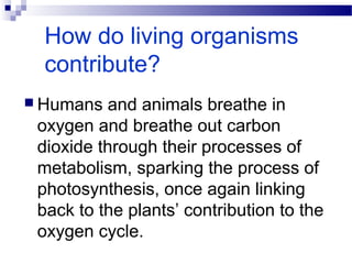 Oxygen cycle