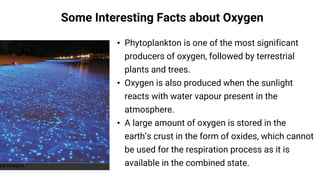Some Interesting Facts about Oxygen
• Phytoplankton is one of the most significant
producers of oxygen, followed by terrestrial
plants and trees.
• Oxygen is also produced when the sunlight
reacts with water vapour present in the
atmosphere.
• A large amount of oxygen is stored in the
earth’s crust in the form of oxides, which cannot
be used for the respiration process as it is
available in the combined state.
+123-456-7890
 