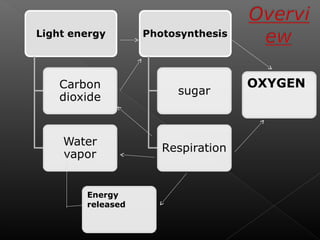 Energy 
released 
OXYGEN 
 