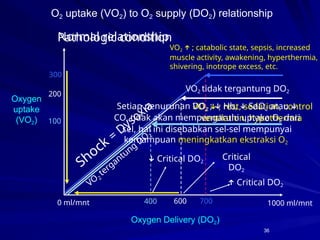 Normal Do2 Oxygen Delivery and Consumption WS Hemo 2011 .pptx