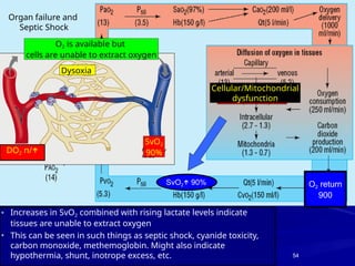 Svo2 Organ Oxygen Delivery and Consumption WS Hemo 2011 .pptx