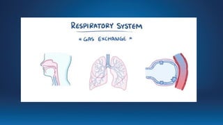 Systemic O2 Delivery Oxygen delivery systems in apediatrics.pptx