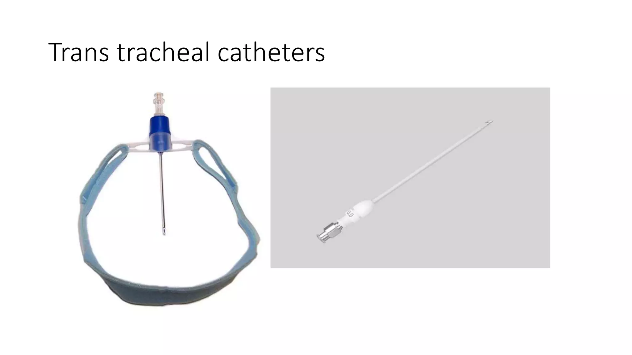 Trans tracheal catheters
 